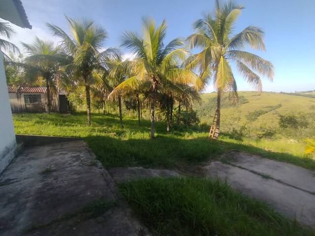 #2 - Sítio para Venda em São Pedro - SP - 2